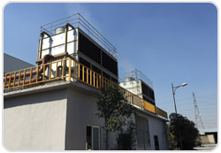 重慶柞木體育木地板價格及圖片