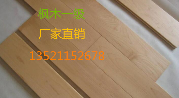 歐氏楓木一級體育地板 歐氏楓木一級體育地板